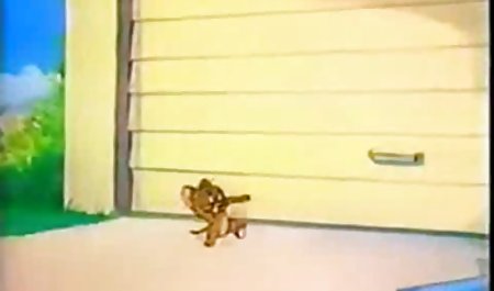 レズビアンの心理療法士セーラAvto 手コキ 美人 動画 Licksラ揚げ物