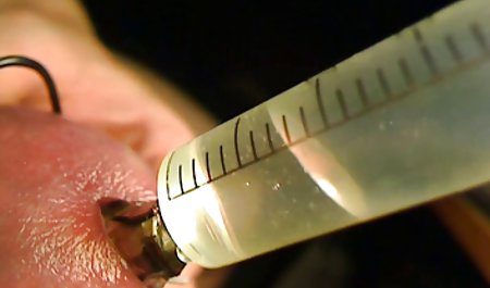 肛門com coroa 痴 熟女 手コキ